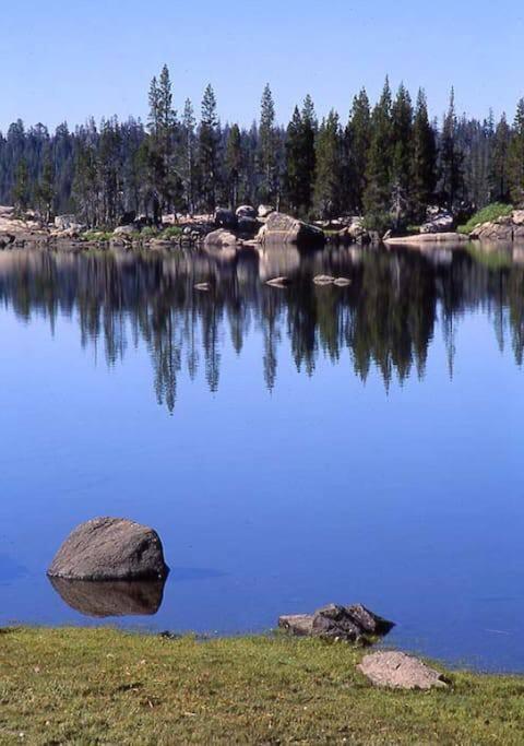 Cedar Oasis - Home Base To Big Trees Арнолд Экстерьер фото
