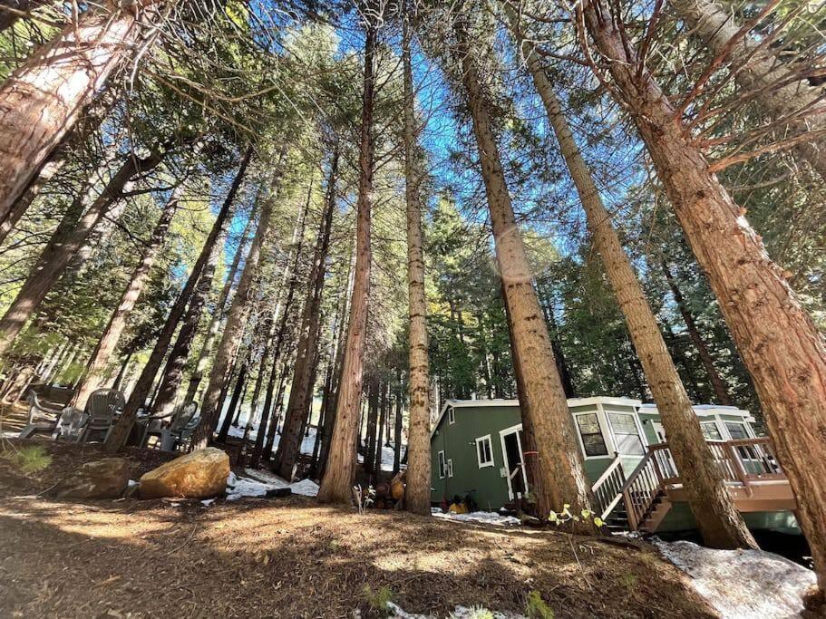 Cedar Oasis - Home Base To Big Trees Арнолд Экстерьер фото